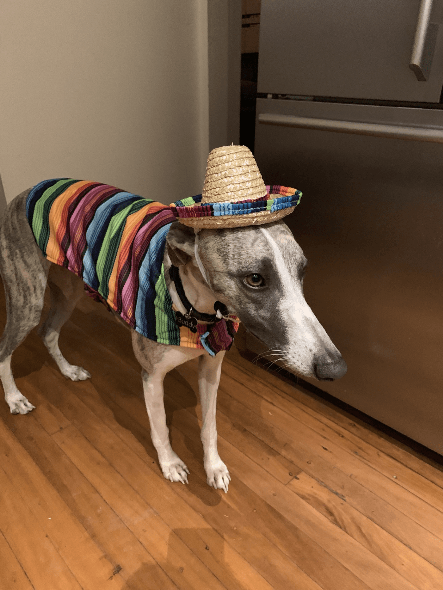 Hover Image